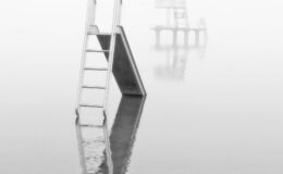 013 - ein bad im nebel